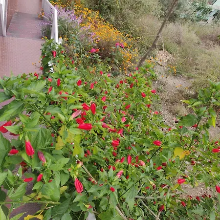 Vatsalyam Home Stay-2