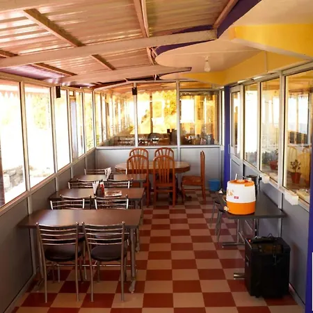 Chail Alone Inn-3