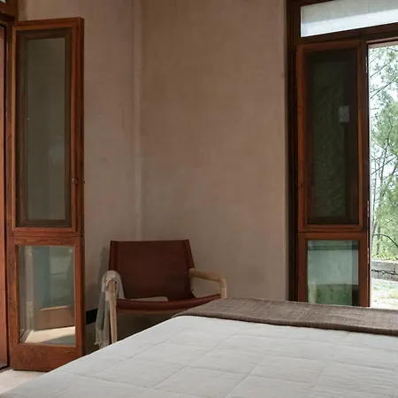 Amaya Kasauli-3