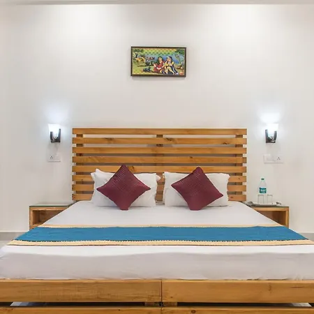 Pine Cove Serviced Apartments: Peaceful Family Retreat in Kasauli-3