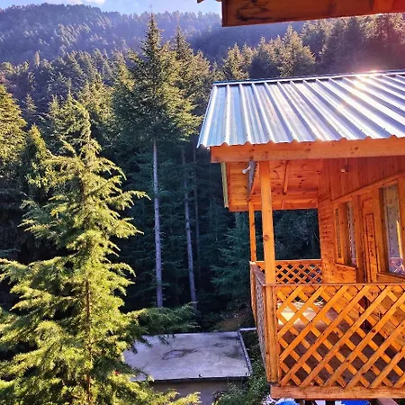 Mid Conifer Resort And Cottages-3