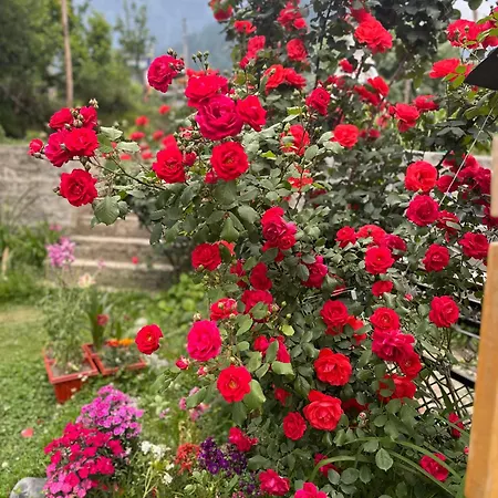 Amarys Boutique Stays Manali-2