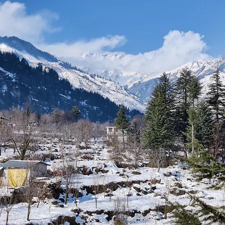 Safar Hostel Manali-2