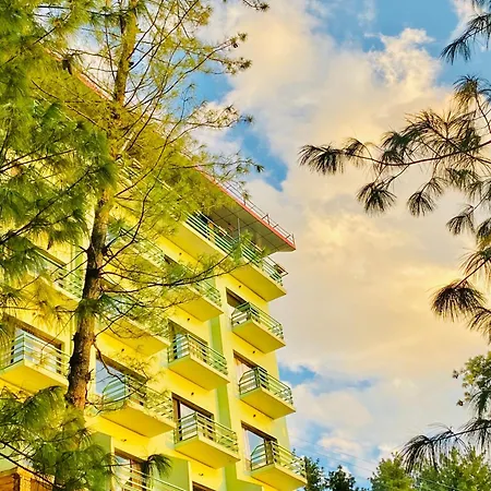 Aachman Valley Resort Shimla-3