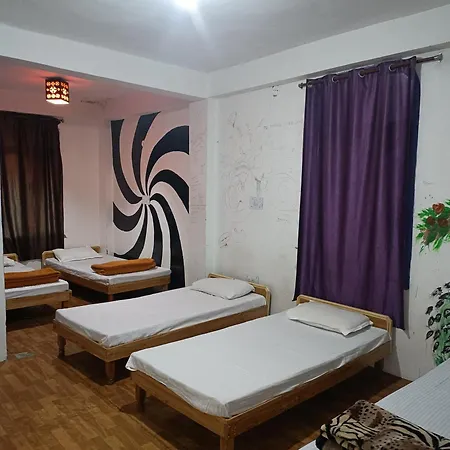 Nomadic Den Manali-3