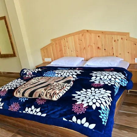 Nomadic Den Manali-2
