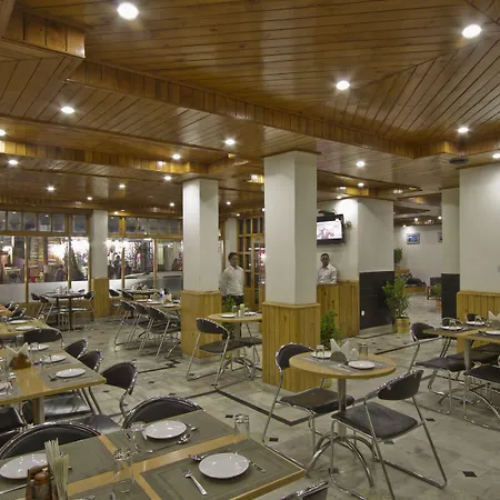 Hotel Snow View Manali-3