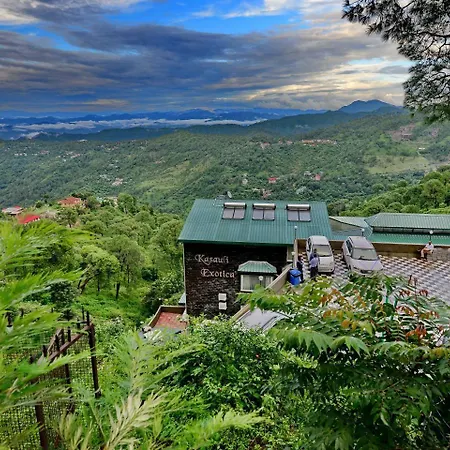 Una Comfort Kasauli Exotica-3