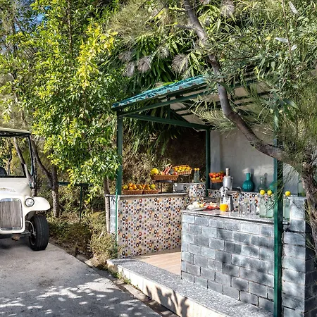 Rakkh Resort-2