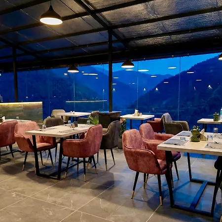 Hotel Chail Residency-3
