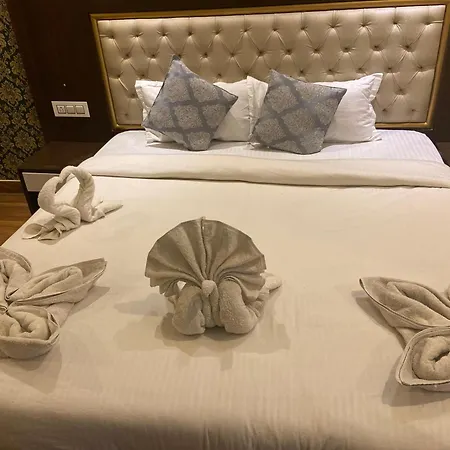 Hotel Ambika Residency Manali-3