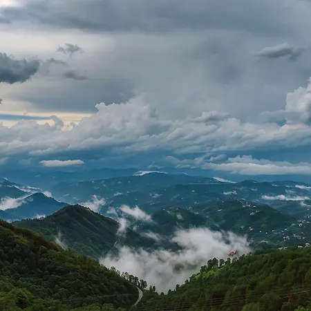 Pine Ville Shimla-3