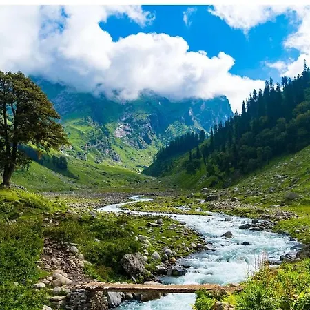 Mha Hotel Ever Green Manali-2