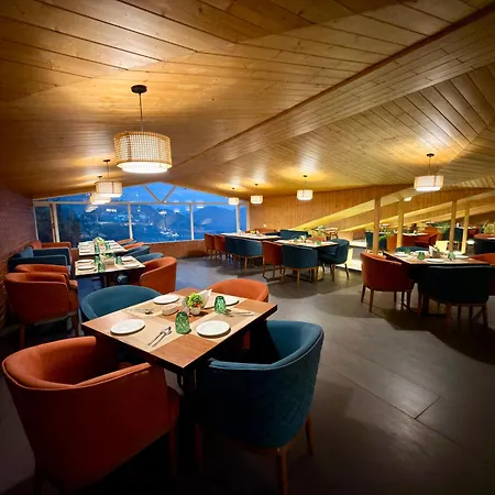 Arnisa Kasauli - A Boutique Hotel-3