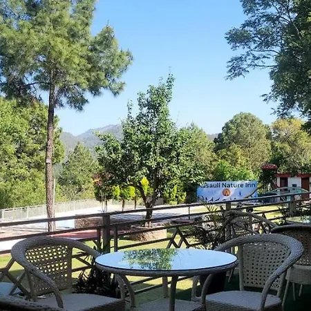 Kasauli Nature Inn-3