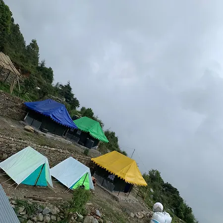 Spot On Ferns Camp-3