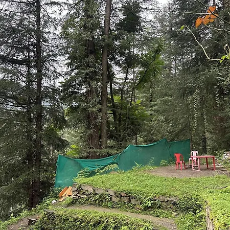 The Woodpecker Inn Jibhi-3