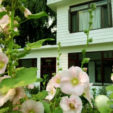 Hotel Manali Castle-3