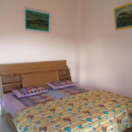 Superfriendly Stay In Sanjauli Shimla-3