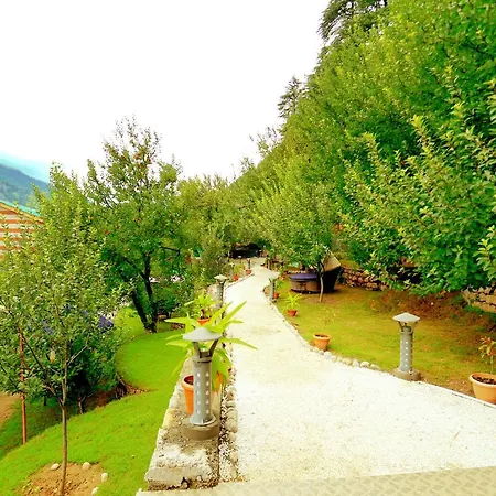 Amara Resorts Manali-2