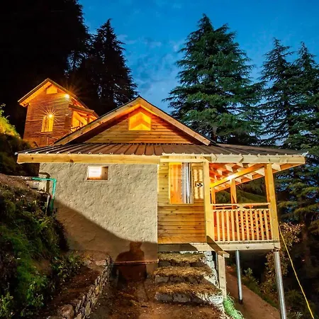Mid Conifer Cottage-2