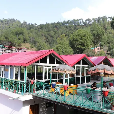 Maple Resort Chail-3